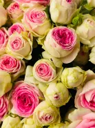 Букет: &laquo;Очаровательная Кустовая Роза&raquo;