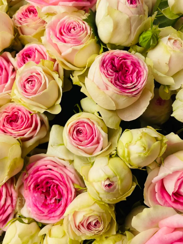 Букет: &laquo;Очаровательная Кустовая Роза&raquo;