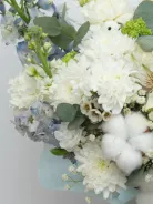 Композиция: &laquo;Стойкий Комплимент&raquo;