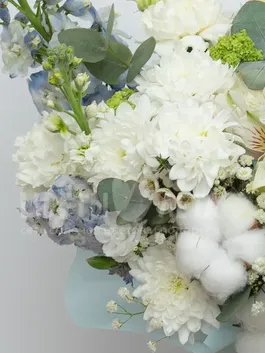 Композиция: &laquo;Стойкий Комплимент&raquo;