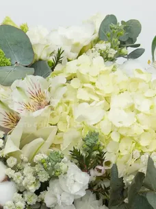 Композиция: &laquo;Стойкий Комплимент&raquo;