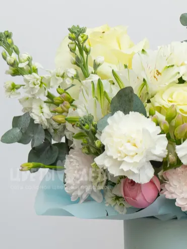 Композиция: &laquo;Сияй&raquo;