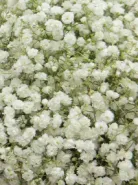 Композиция: &laquo;Гипсофила&raquo;