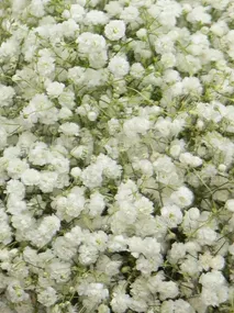 Композиция: &laquo;Гипсофила&raquo;