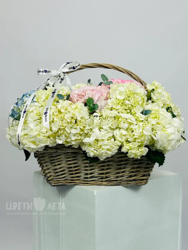 Композиция: &laquo;Поле Гортензий&raquo;