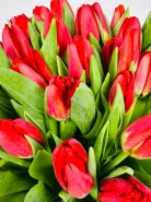 Букет: &laquo;Красные Тюльпаны&raquo;