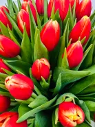 Букет: &laquo;Тюльпаны&raquo;
