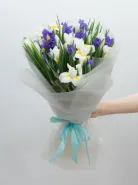 Монобукет: &laquo;Микс Ирисов&raquo;