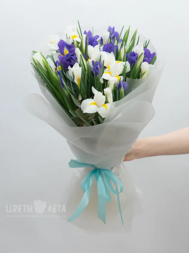 Монобукет: &laquo;Микс Ирисов&raquo;