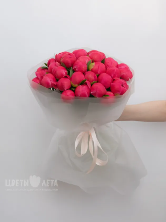 Монобукет: &laquo;Пион Coral Charm 25&raquo;