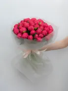Монобукет: &laquo;Пион Coral Charm 35&raquo;