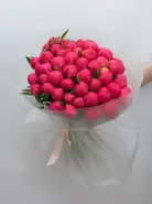 Монобукет: &laquo;Пион Coral Charm 45&raquo;