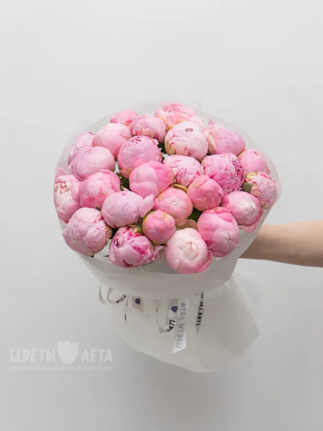 Монобукет: &laquo;Пионы Сара Бернард&raquo; 25