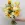 Выпускной