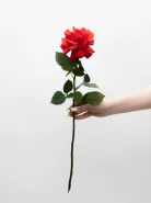 Ажурная роза &laquo;Нина&raquo;