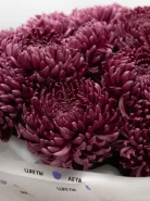 Монобукет &laquo;Бигуди Purple.  &raquo;