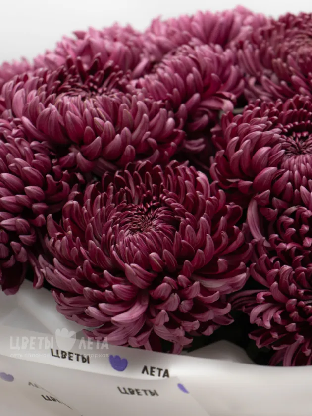 Монобукет &laquo;Бигуди Purple.  &raquo;