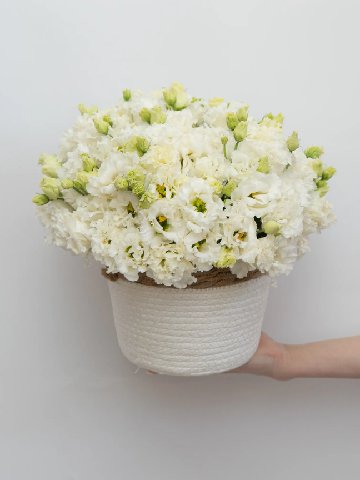 Композиция: &laquo;Белая Эустома&raquo; от интернет-магазина цветов в 