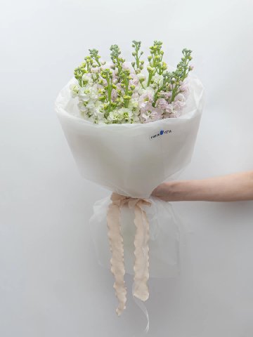 Букет: &laquo;Микс Нежно-Розовые и Белые Маттиолы&raquo; от интернет-магазина цветов в 