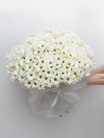 Букет: &laquo;51 Ромашковая Хризантема&raquo; от интернет-магазина цветов в 