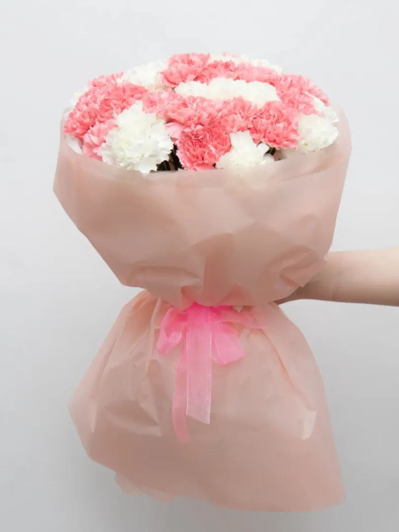 Букет: микс Диантусы &laquo;Белый-Розовый&raquo;