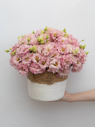 Композиция: &laquo;Розовая Эустома&raquo; от интернет-магазина цветов в 