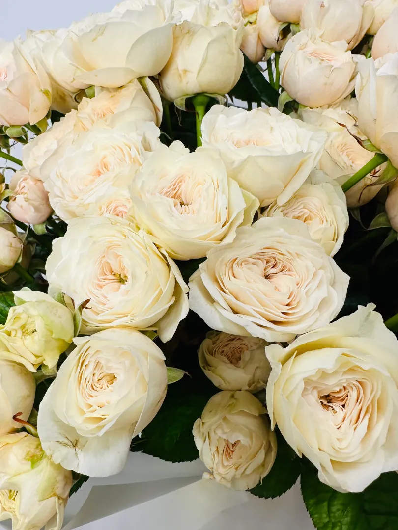 Букет: &laquo;Кремовая Пионовидная Кустовая Роза&raquo;