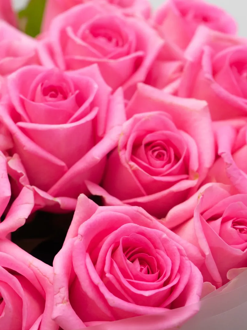 Букет из Российской Розы &laquo;Аквы&raquo; 60см