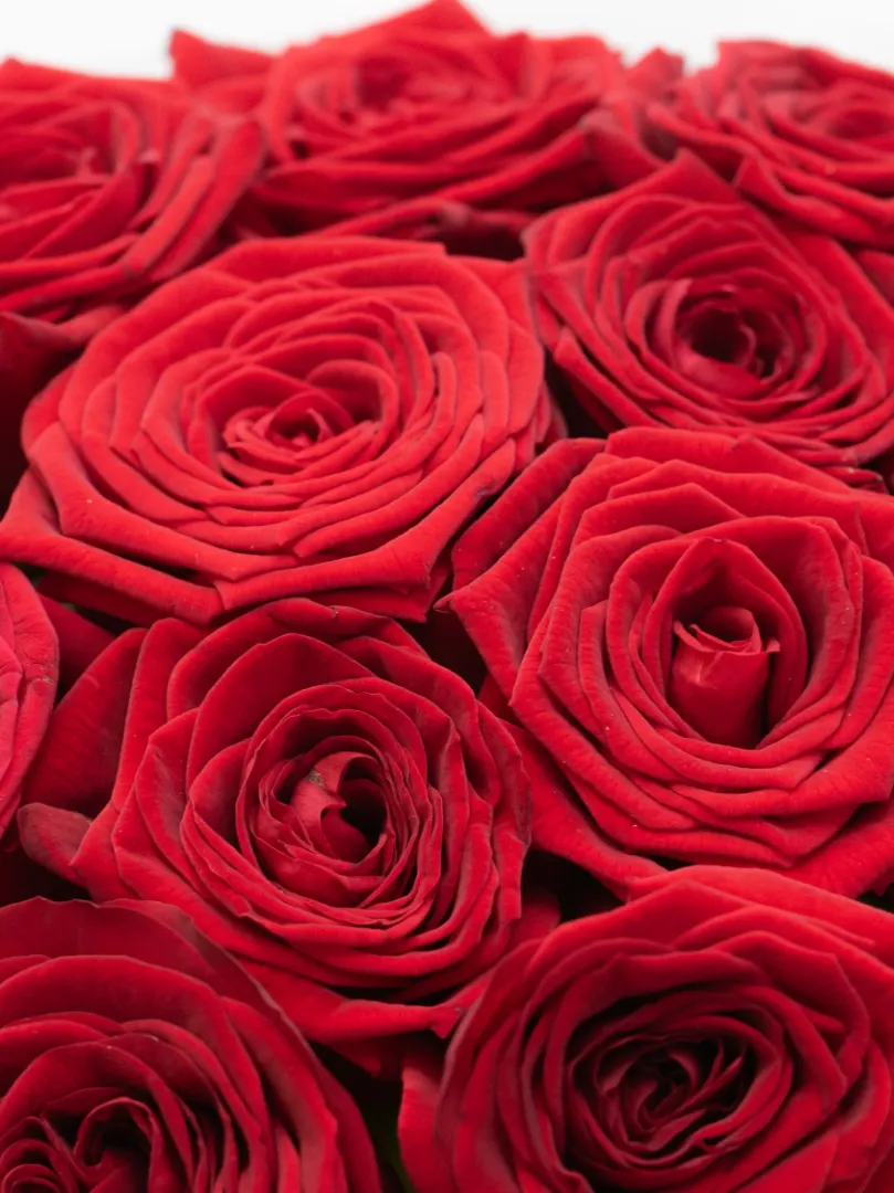 Букет из Российской Розы &laquo;Ред Наоми&raquo; 60см