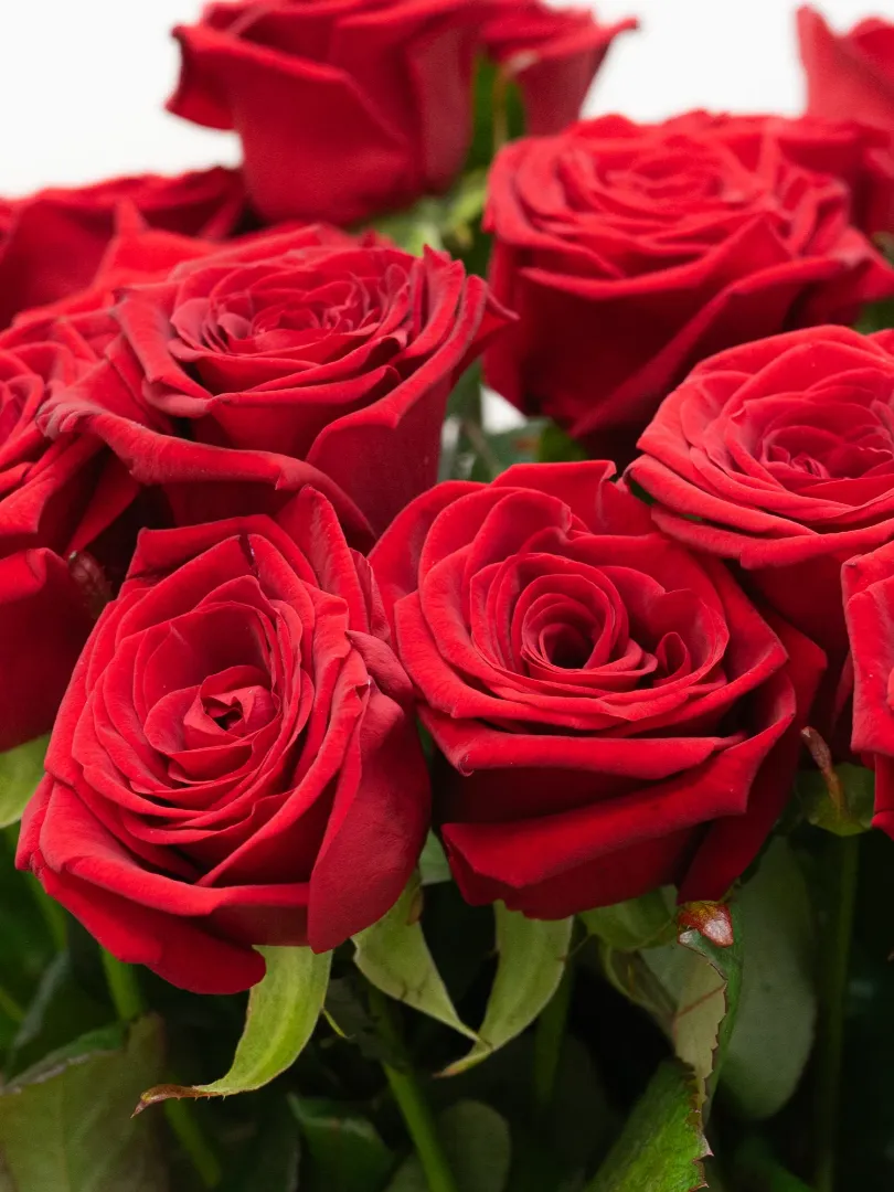 Букет из Российской Розы &laquo;Ред Наоми&raquo; 60см