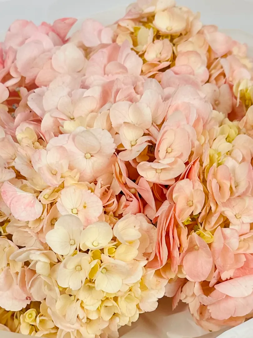 Букет: &laquo;Розовая гортензия 5&raquo;