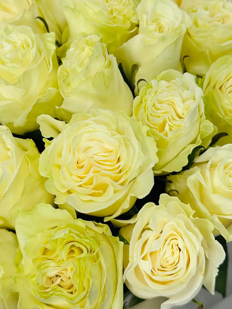 Букет из роз &laquo;Мондиаль&raquo; 60см