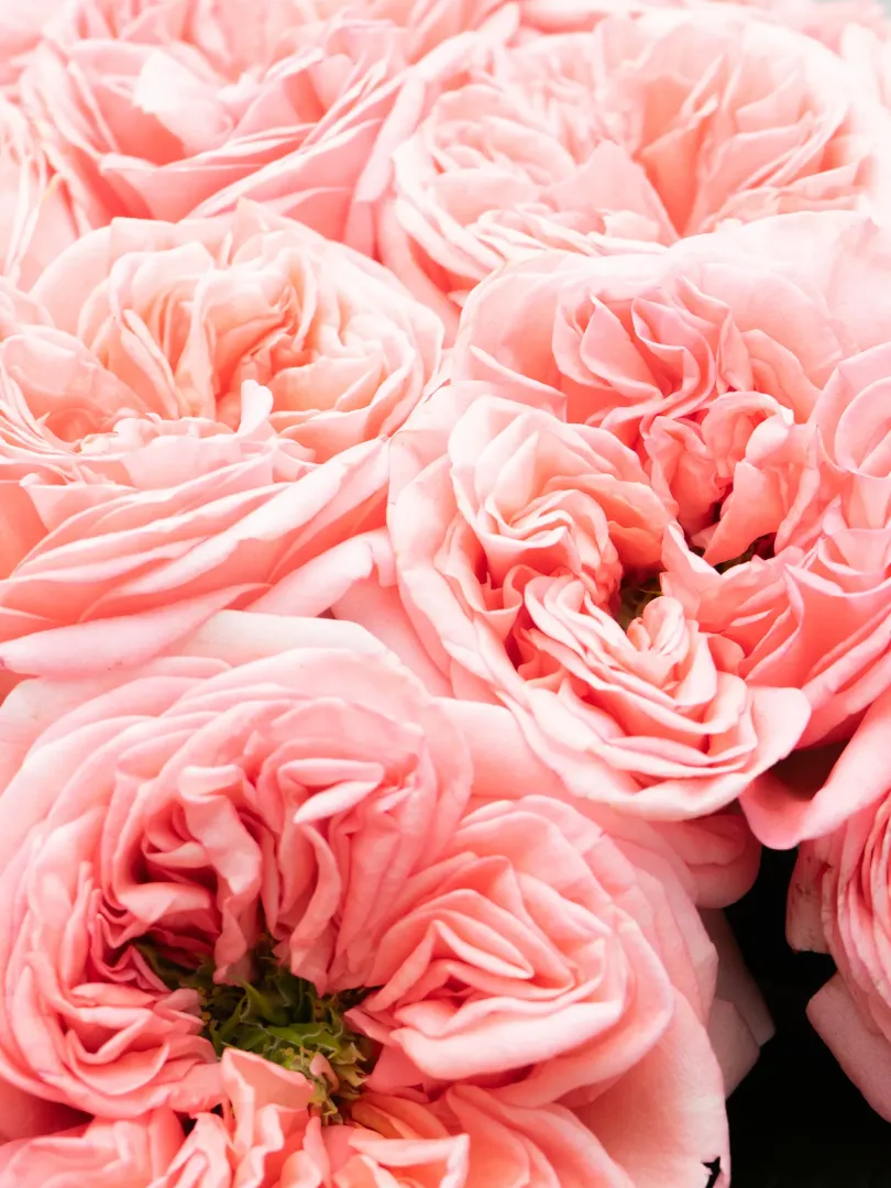 Букет из роз &laquo;Шифон&raquo; 60см