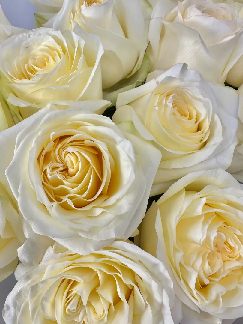 Букет: &laquo;Теплое Признание&raquo;