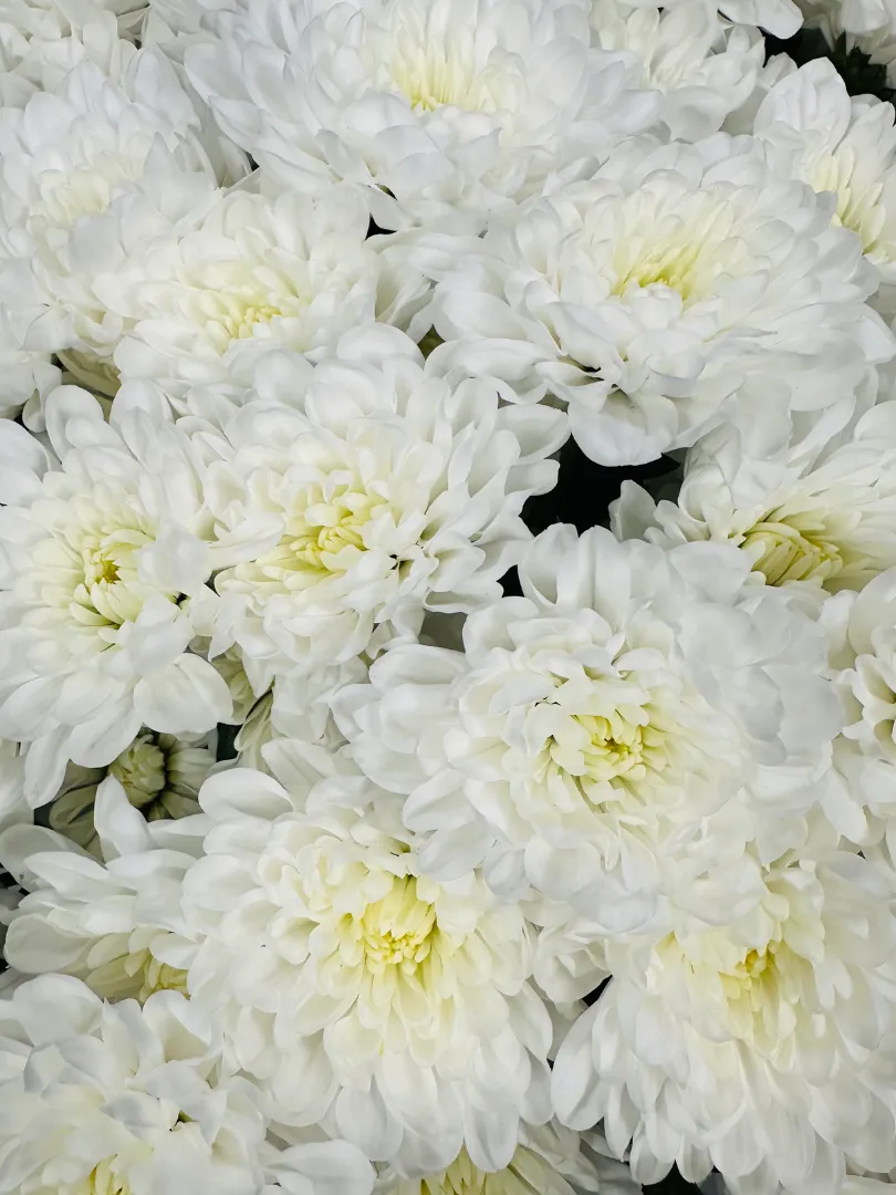 Букет &laquo;Балтийская нежность 15&raquo;