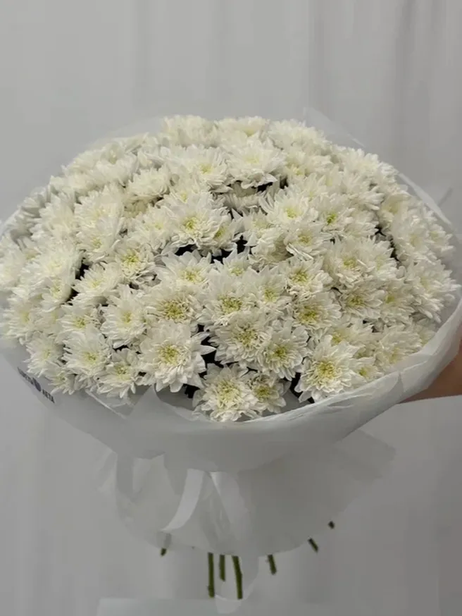 Букет &laquo;Балтийская нежность 25&raquo;