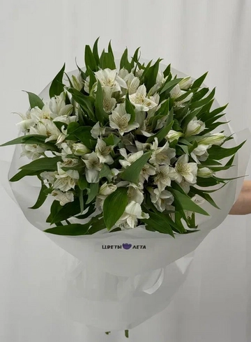 Букет &laquo;Альстромерия: белая магия 15&raquo; от интернет-магазина цветов в 