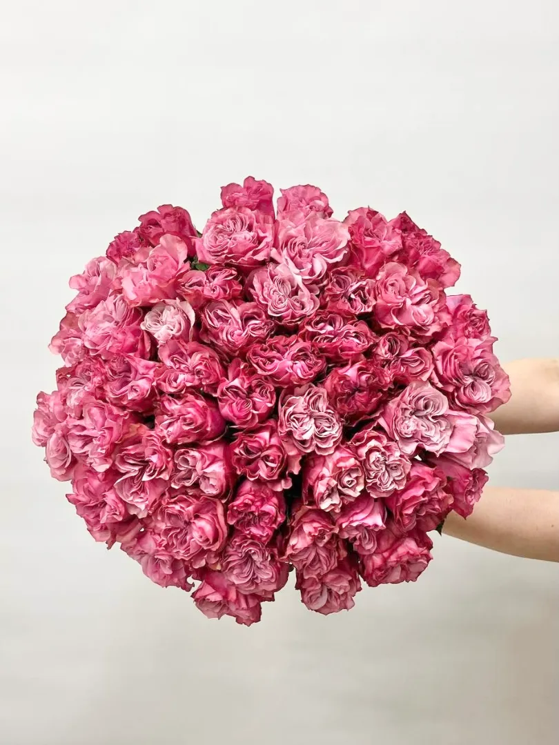 Букет &laquo;Роза Кантри 51&raquo;