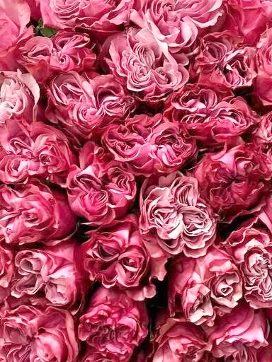 Букет &laquo;Роза Кантри 51&raquo;