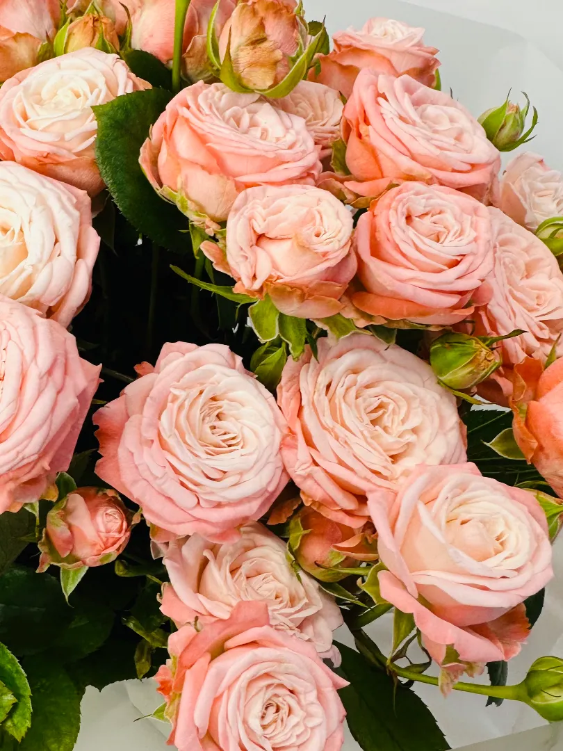 Букет: &laquo;Нежная Пионовидная Кустовая Роза &raquo;