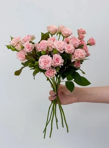 Букет: &laquo;Нежно-розовая кустовая роза&raquo; от интернет-магазина цветов в 