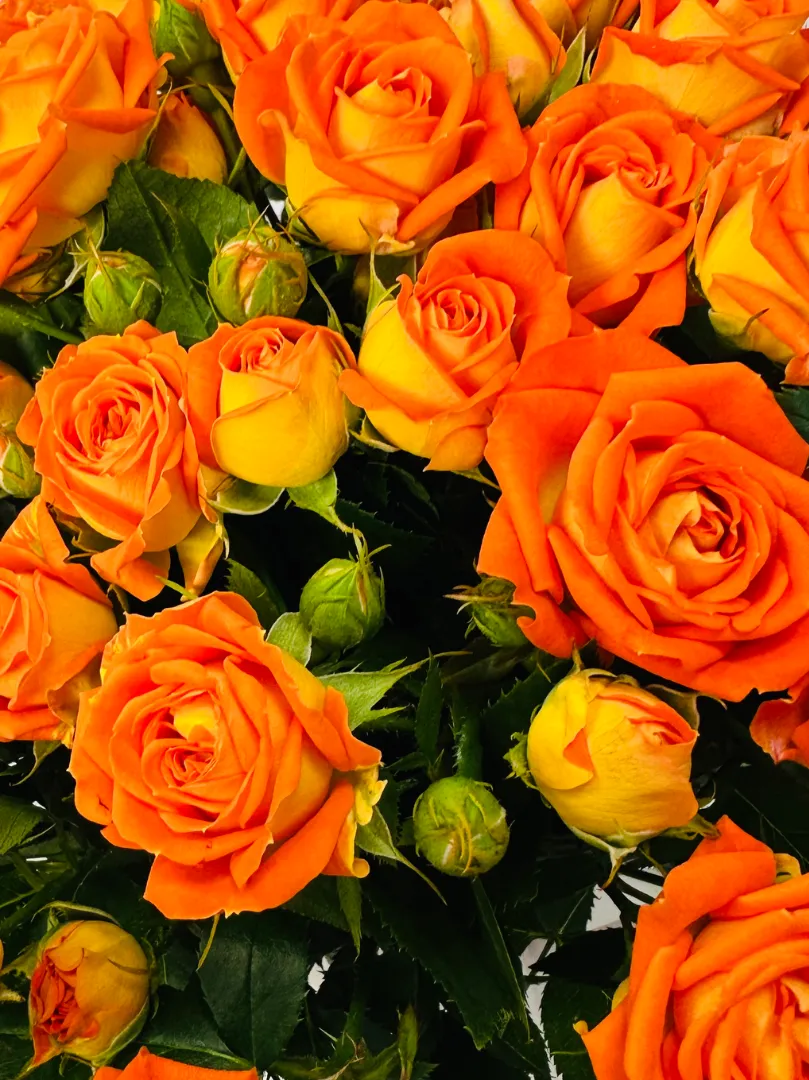 Букет: &laquo;Оранжевая кустовая роза&raquo;