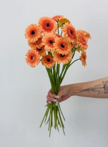 Букет: «Персиковая гербера»  от интернет-магазина цветов в 