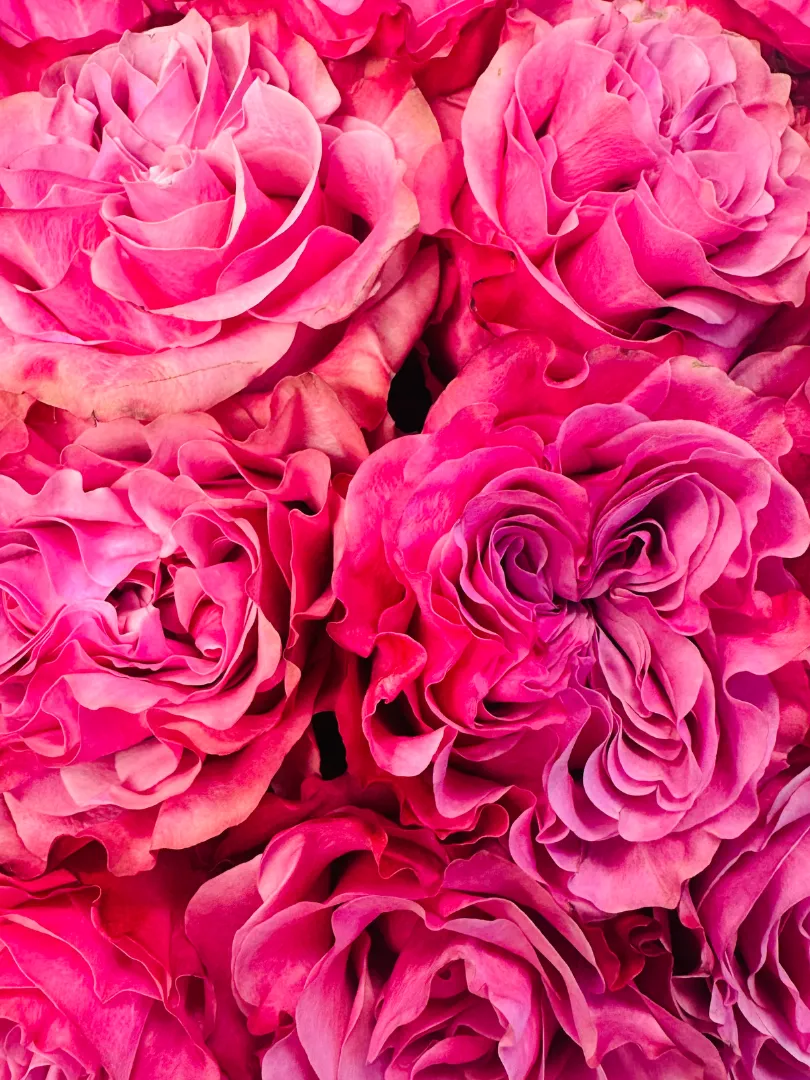 Букет: &laquo;Роза Кантри&raquo;