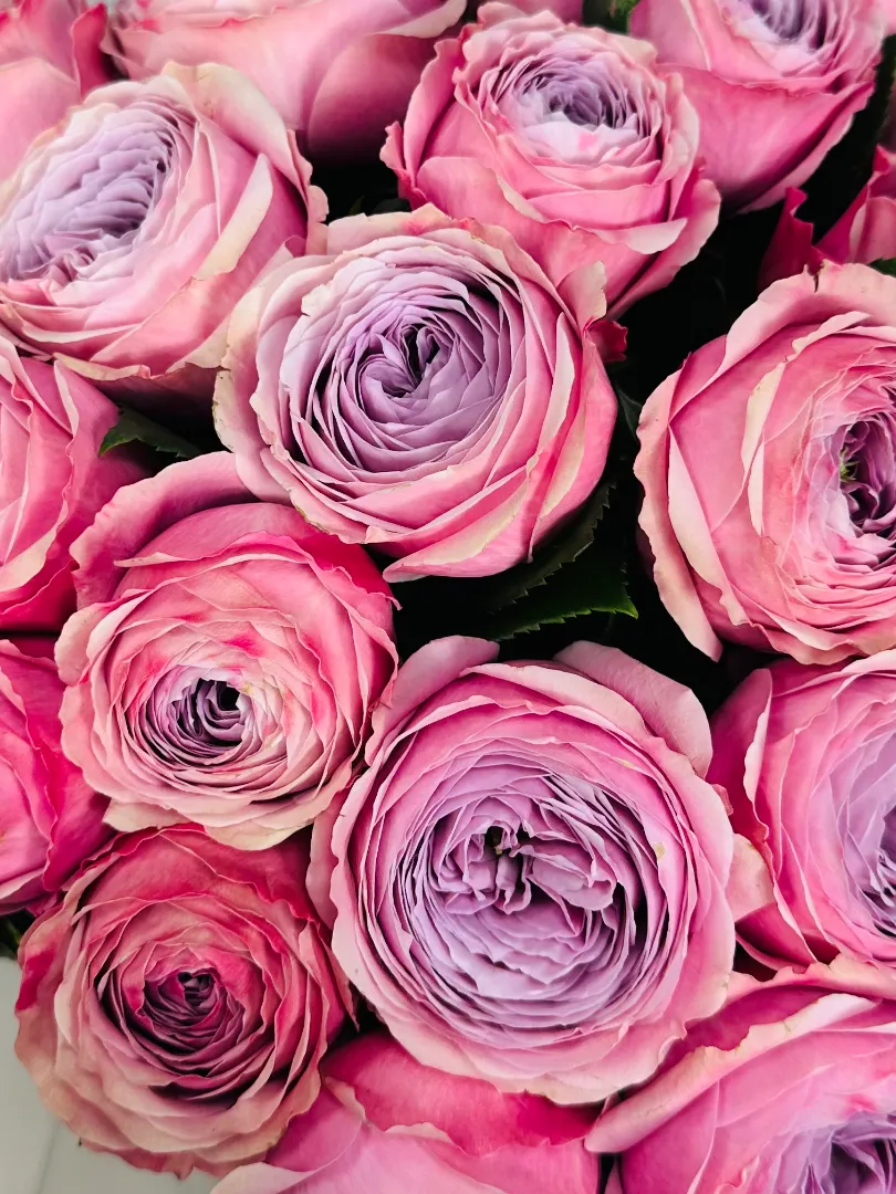 Букет: &laquo;Пионовидные Розы&raquo;