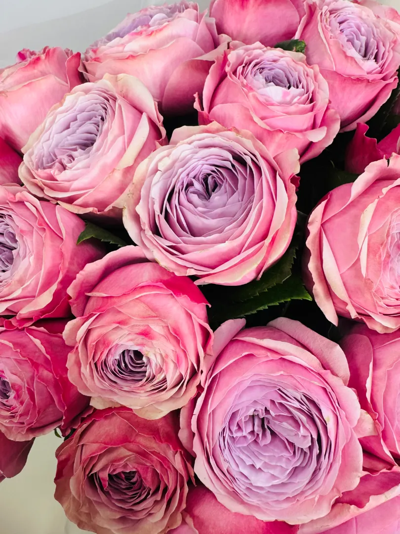 Букет: &laquo;Пионовидные Розы&raquo;