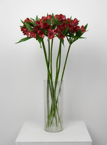 Букет мини: «Красная альстромерия»  от интернет-магазина цветов в 