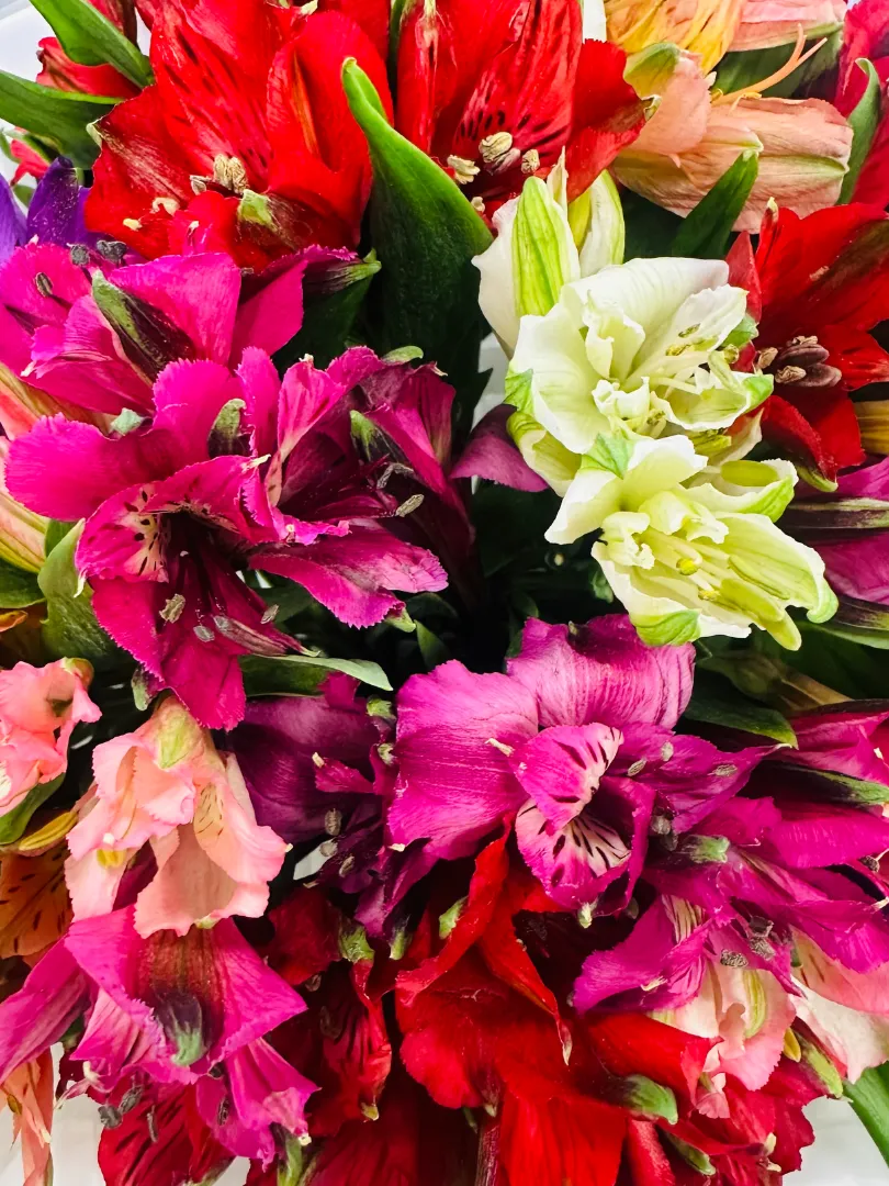 Букет: &laquo;Цветная Альстромерия 15&raquo;