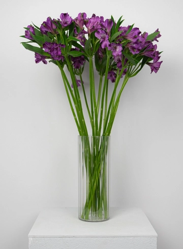 Букет медиум: &laquo;Фиолетовая альстромерия&raquo;  от интернет-магазина цветов в 