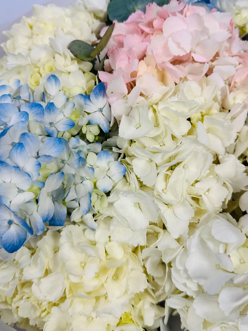 Букет: &laquo;Облако Гортензий&raquo;